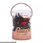 Battat Terra AN6077Z Insect World Tube Multi Insect World B07K3MDL49